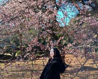 Shinjuku Gyoen Sakura by Laura