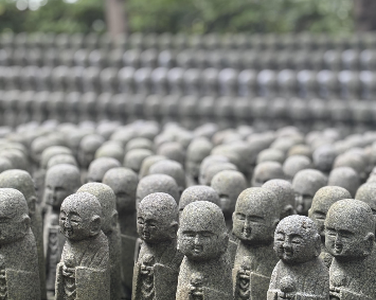 Wherever My Feet Go, My Camera Follows by Elena