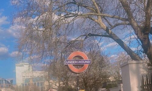 My Journey to Japan by Georgia