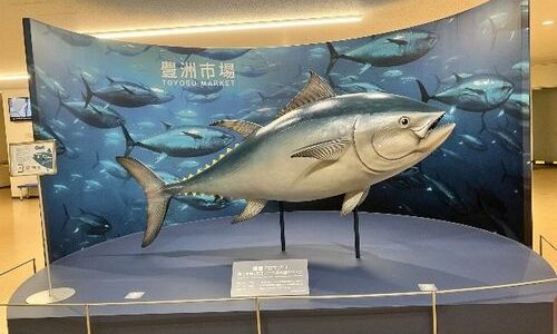 Toyosu:  Senkyaku Banrai and Fish Market by Rachel