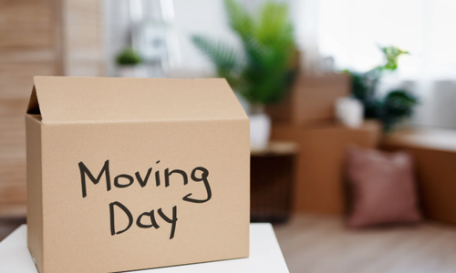 New House and The Chinese Moving-in Ceremony by Amie