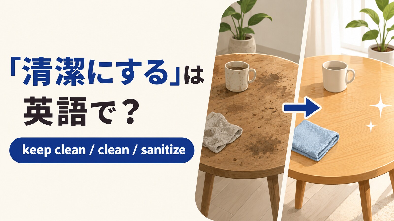 清潔にするの英語表現と使い分け