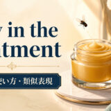 a fly in the ointmentの意味・使い方・類似表現を解説するアイキャッチ画像