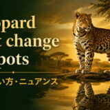 a leopard can't change its spotsの意味とニュアンスを解説するアイキャッチ画像