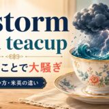 a storm in a teacupの意味は「些細なことで大騒ぎ」