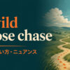 a wild goose chaseの意味・使い方・ニュアンスを解説するアイキャッチ画像