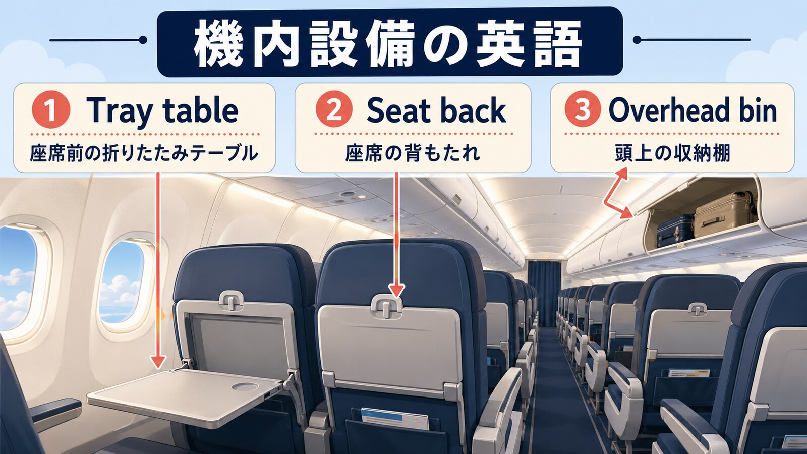 Tray table Seat back Overhead binの日本語比較図