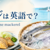 アジは英語でhorse mackerelと伝えるアイキャッチ