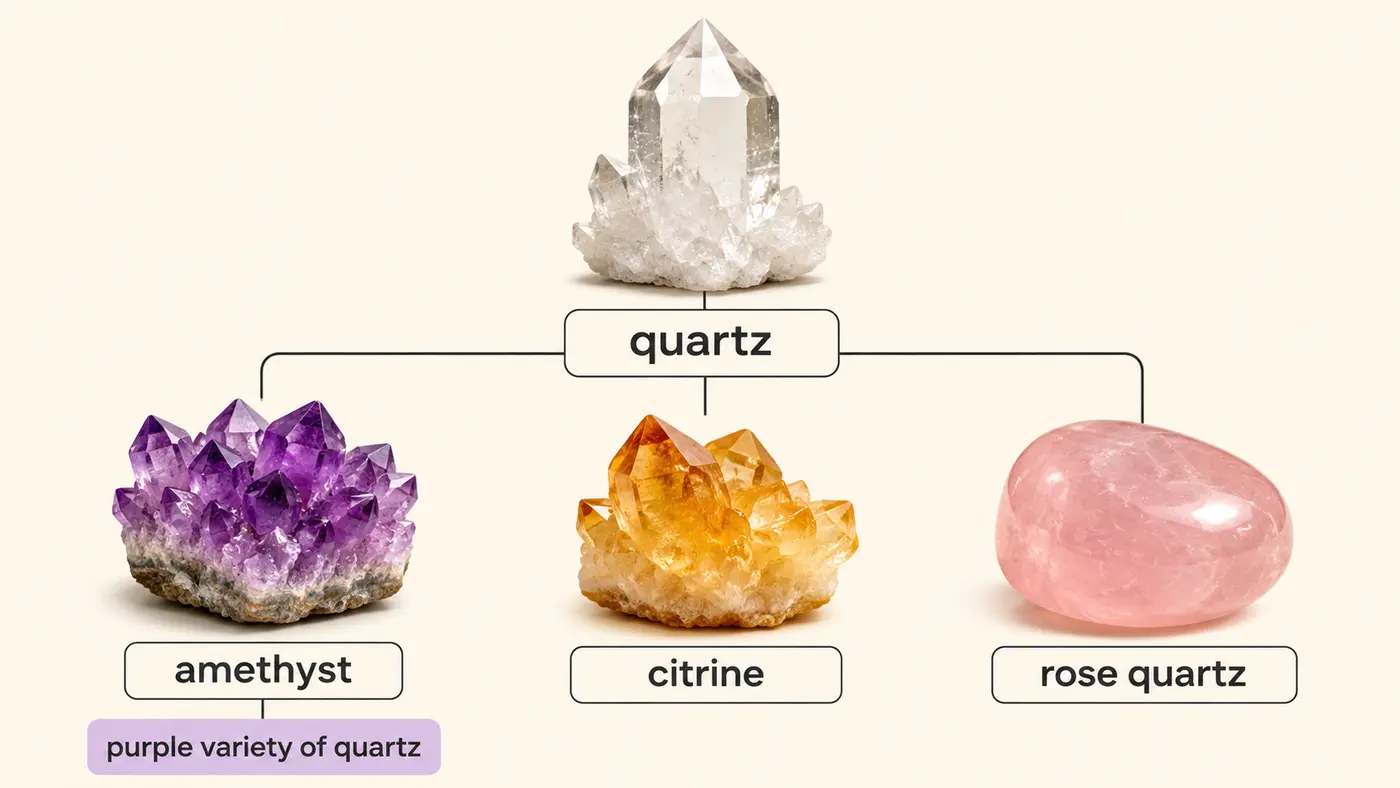 quartzから派生するamethyst・citrine・rose quartzを比較した英語図解