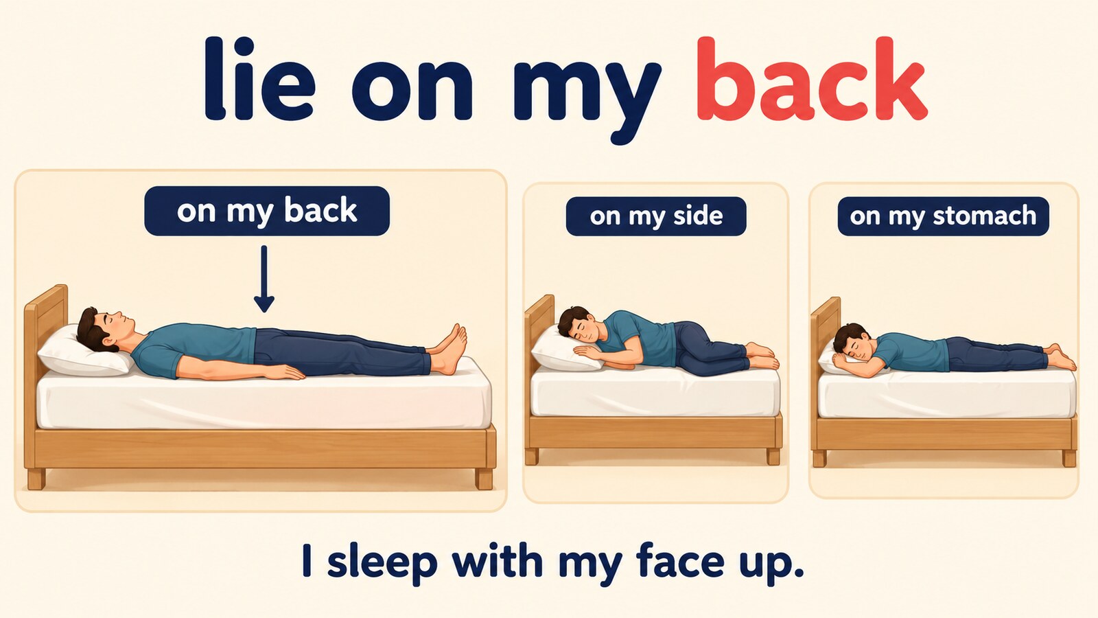 仰向けのon my back、横向きのon my side、うつ伏せのon my stomachを比較するイラスト