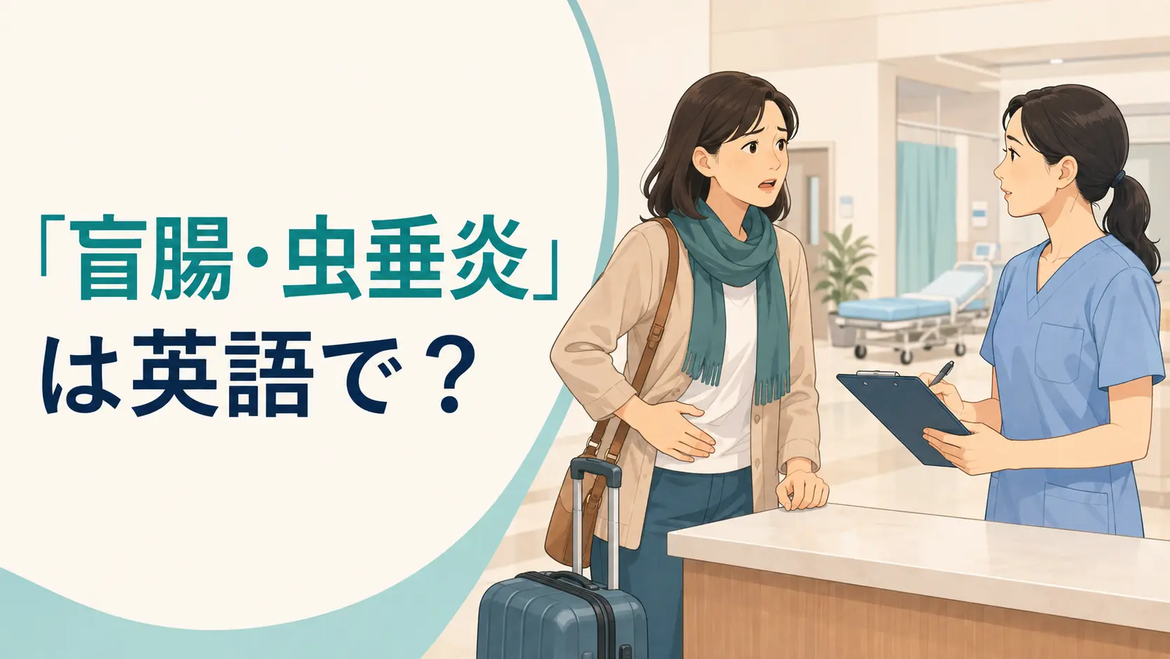 「盲腸・虫垂炎」は英語で？appendicitis・appendix・appendectomyの違い