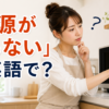 電源ボタンを押しても画面がつかない電子レンジと「電源が入らない」は英語で？の文字