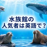 イルカ・クジラ・シャチ・アザラシ・アシカ・セイウチ・ペンギンと「水族館の人気者は英語で?」の文字
