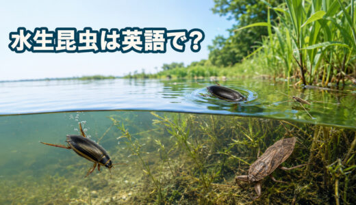 水生昆虫は英語で？ゲンゴロウ・タガメ・ミズスマシ・アメンボの名前一覧