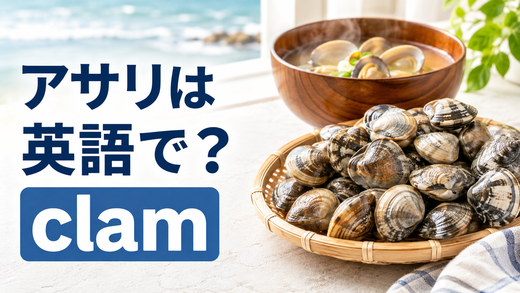 アサリは英語で？clamの発音・複数形と味噌汁・ボンゴレ・砂抜きの表現