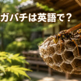 開放型の巣に止まるアシナガバチと「アシナガバチは英語で？」の文字