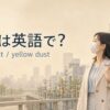 黄砂は英語で？Asian dustとyellow dust