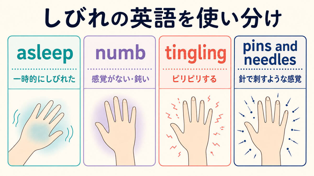 asleep・numb・tingling・pins and needlesの違いを示す比較図