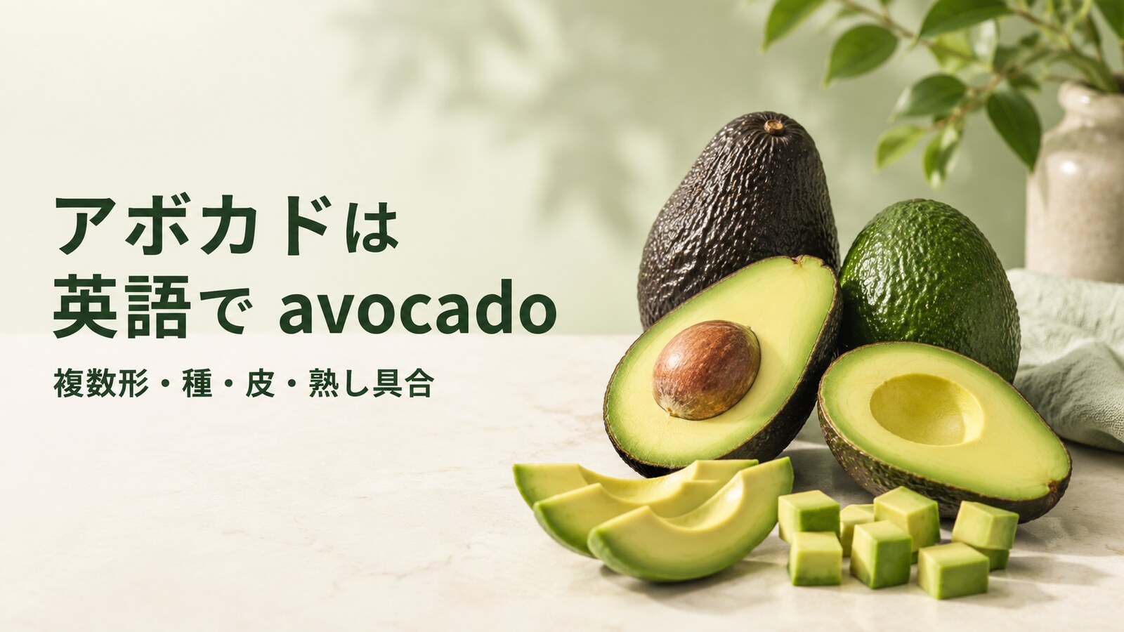アボカドは英語でavocadoと示し、複数形・種・皮・熟し具合を紹介する画像