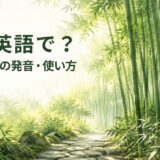 朝日が差し込む竹林と「竹は英語で？bambooの発音・使い方」の文字
