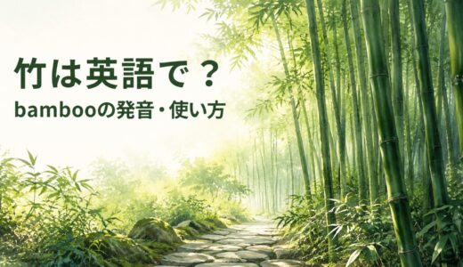 竹は英語で？bambooの発音・数え方、竹林・竹細工と日本文化の説明
