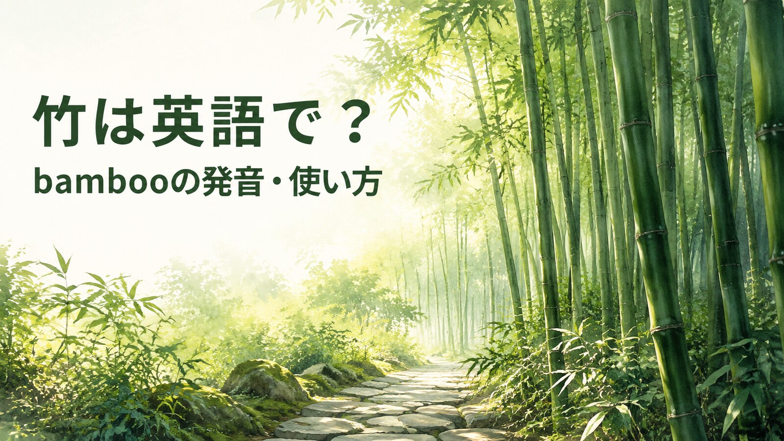 竹は英語で？bambooの発音・数え方、竹林・竹細工と日本文化の説明