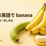 青いバナナ、黄色い房、茶色い斑点のある熟したバナナと皮をむいたバナナ
