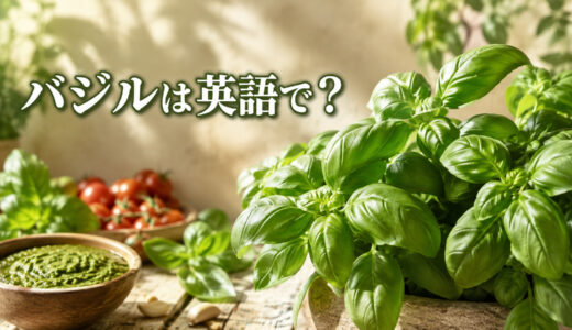 バジルは英語で？basilの英米発音とsweet basil・holy basilの違い