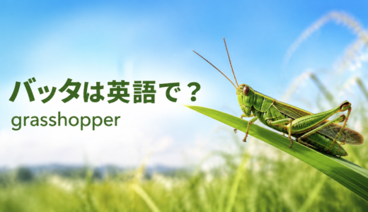 バッタは英語で？grasshopperの発音・名前の由来とlocust、cricketとの違い