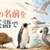 鳥の名前を英語で学ぶ一覧