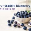 生と冷凍のブルーベリーと「ブルーベリーは英語で blueberry」「複数形・数え方・生・冷凍・味・狩り」の文字