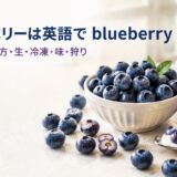 生と冷凍のブルーベリーと「ブルーベリーは英語で blueberry」「複数形・数え方・生・冷凍・味・狩り」の文字
