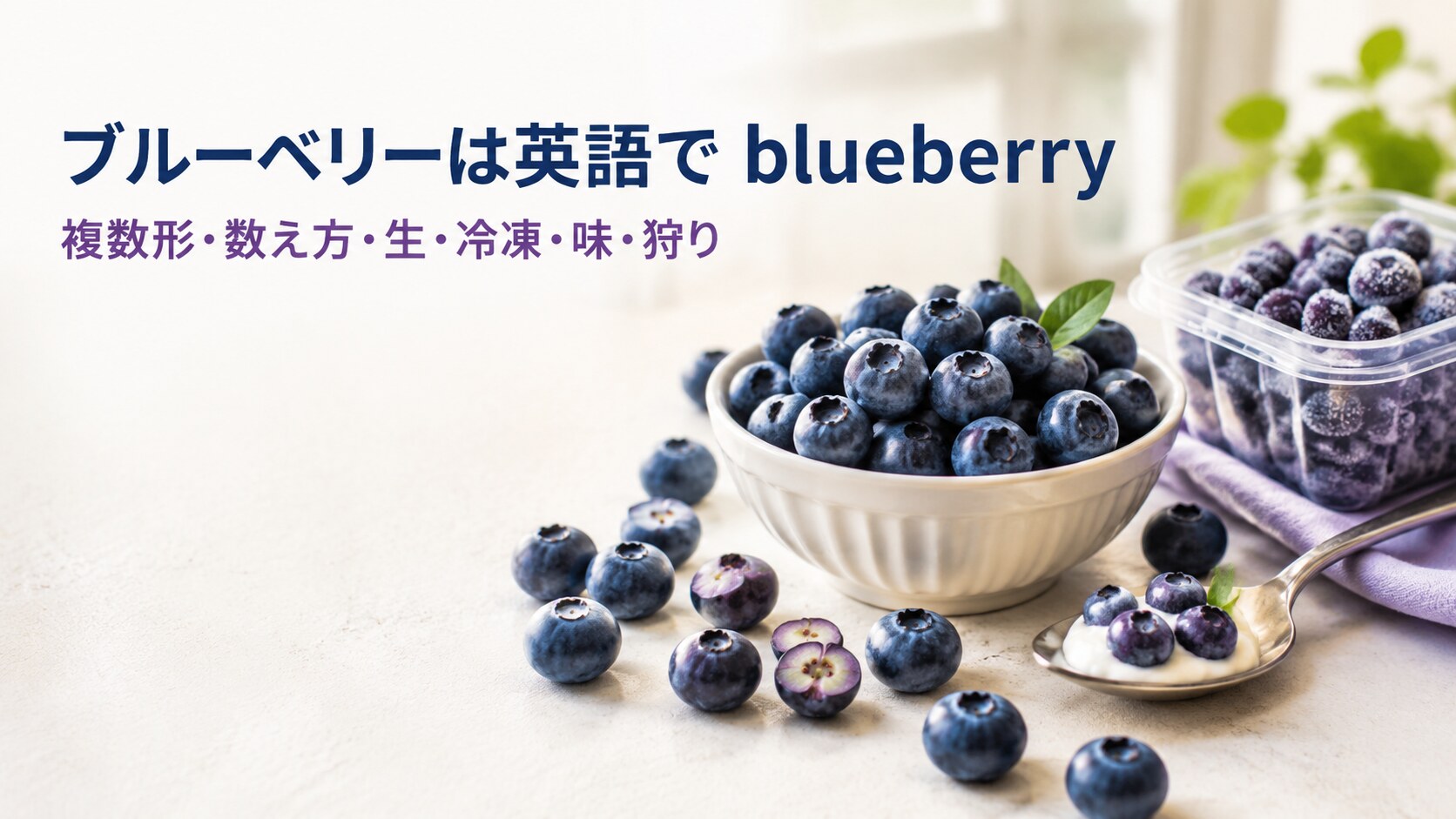 生と冷凍のブルーベリーと「ブルーベリーは英語で blueberry」「複数形・数え方・生・冷凍・味・狩り」の文字