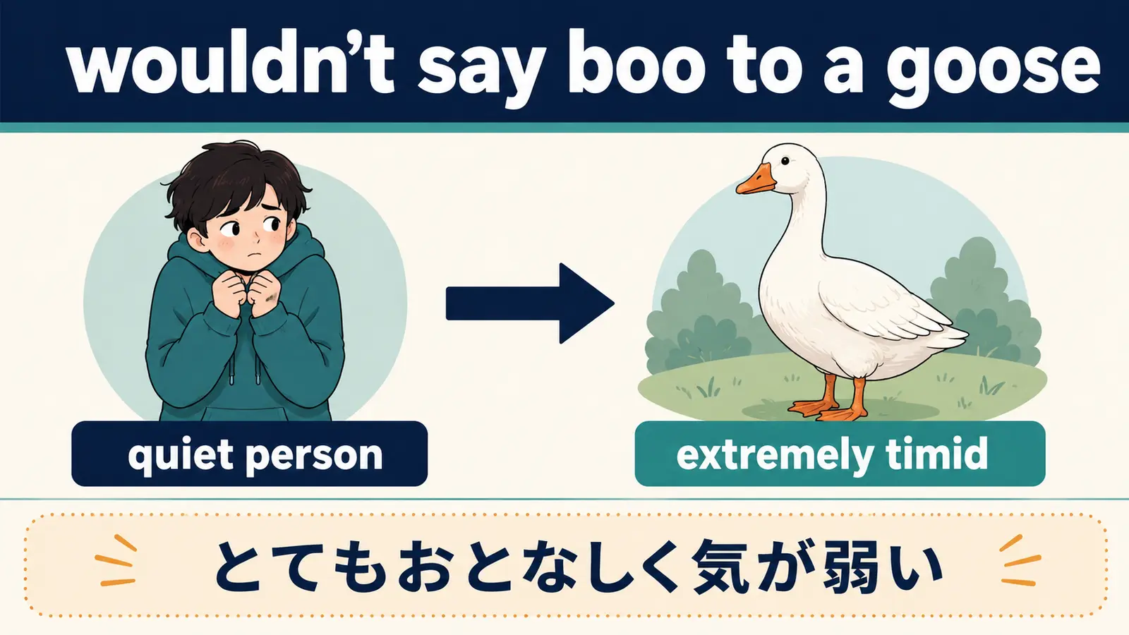 wouldn’t say boo to a gooseの直訳と実際の意味を比較した解説図