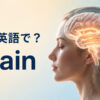 脳は英語でbrainと表すことを示すアイキャッチ
