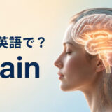 脳は英語でbrainと表すことを示すアイキャッチ