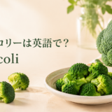 ブロッコリーは英語でbroccoliと表すことを示すアイキャッチ