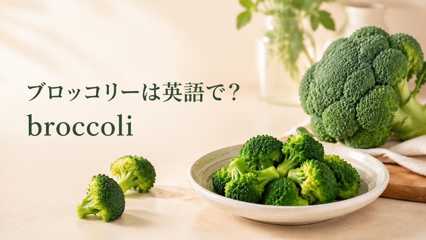 ブロッコリーは英語でbroccoliと表すことを示すアイキャッチ