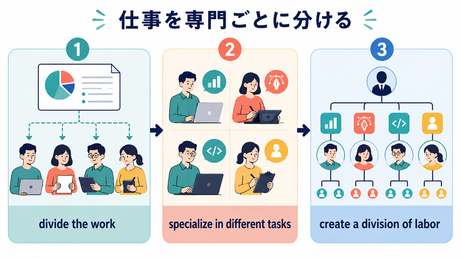 divide the work、specialize in different tasks、create a division of laborの違い