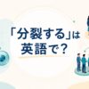 「分裂する」は英語で？divide・split・split into・become dividedの違い