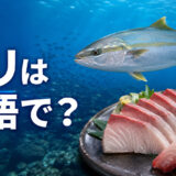 海を泳ぐブリと刺身・握り、「ブリは英語で？」の文字