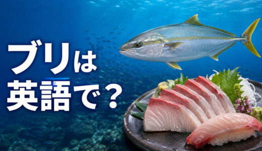 ブリは英語で？yellowtail・Japanese amberjack・hamachiの違いと料理表現