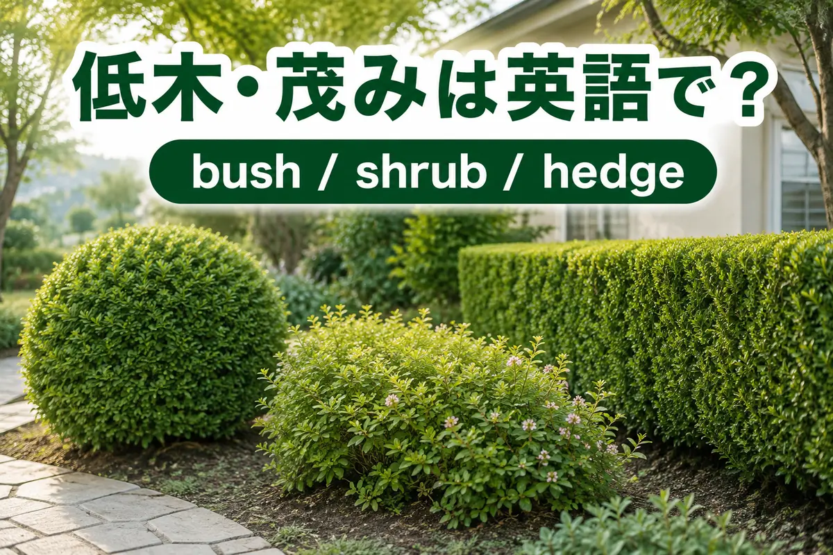 低木・茂み・生け垣を表すbush・shrub・hedgeの違い