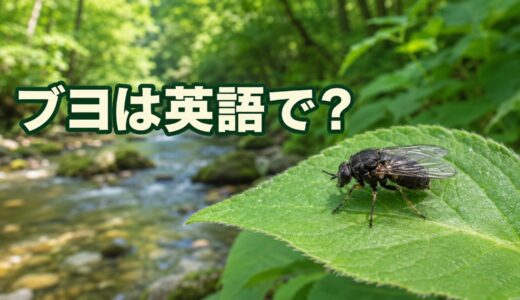 ブヨは英語で？black fly・buffalo gnatの違いと「刺された」の表現