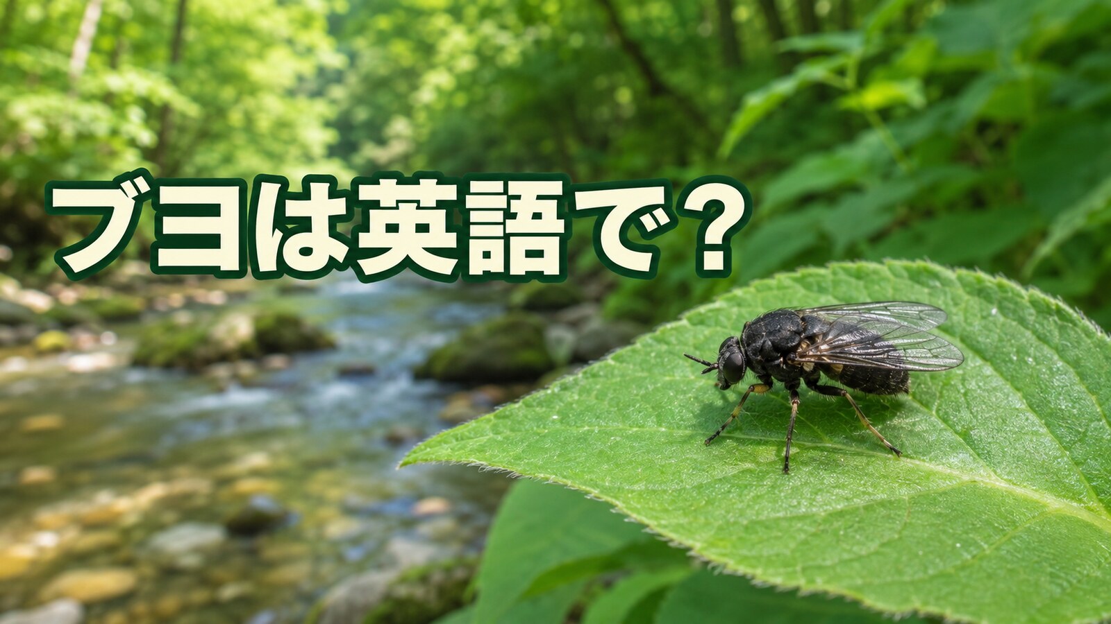 ブヨは英語で？black fly・buffalo gnatの違いと「刺された」の表現