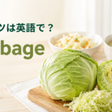キャベツは英語でcabbageと紹介する記事のアイキャッチ