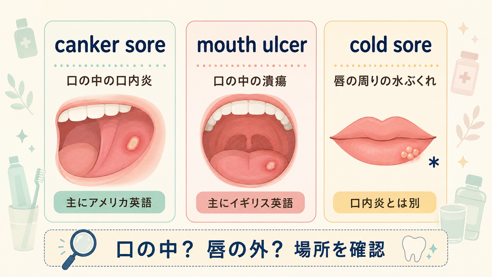 canker sore・mouth ulcer・cold soreの場所と意味の違いを日本語で比較した図解