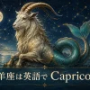 山羊座は英語でCapricornと紹介する海ヤギのイラスト