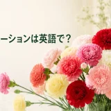 赤・ピンク・白・黄色のカーネーションと「カーネーションは英語で?」の文字
