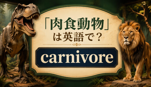 「肉食動物」は英語で？carnivoreの発音・意味とcarnivorousとの違い
